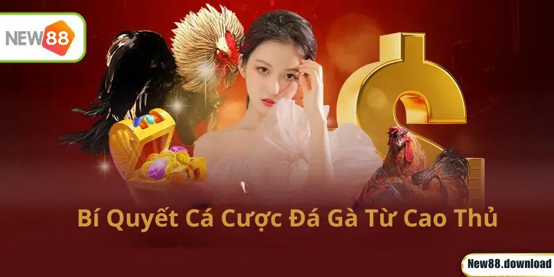 Bí Quyết Cá Cược Đá Gà Từ Cao Thủ