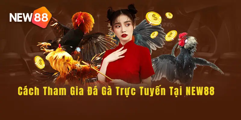 Cách Tham Gia Đá Gà Trực Tuyến Tại NEW88