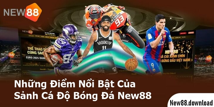 Những Điểm Nổi Bật Của Sảnh Cá Độ Bóng Đá New88